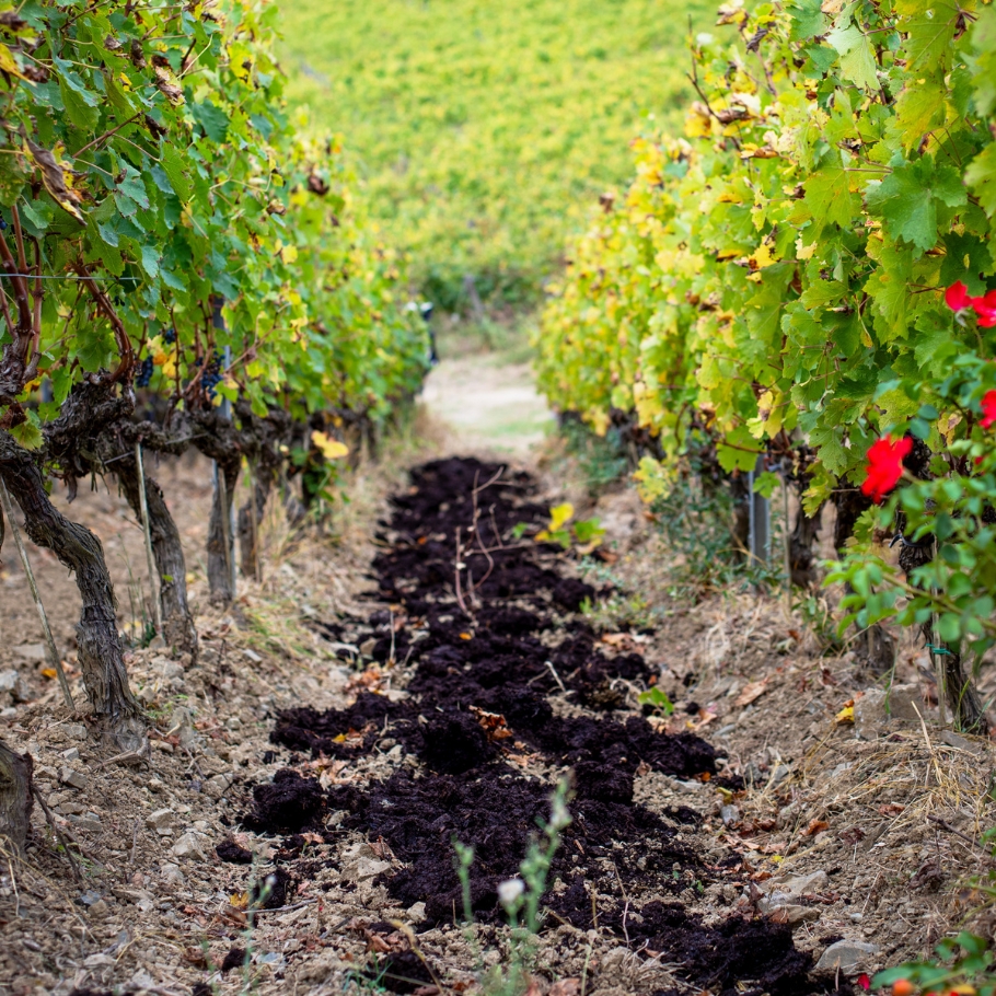 Il Preparato 500 o cornoletame.