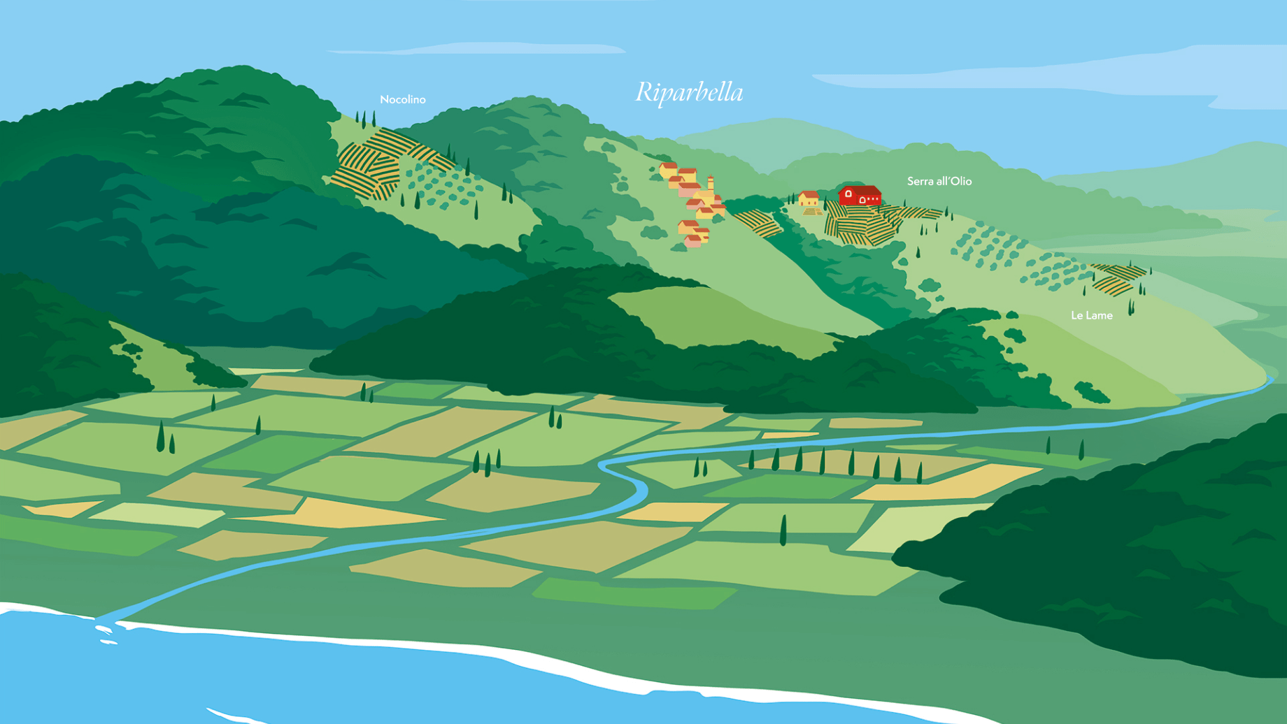 Territorio