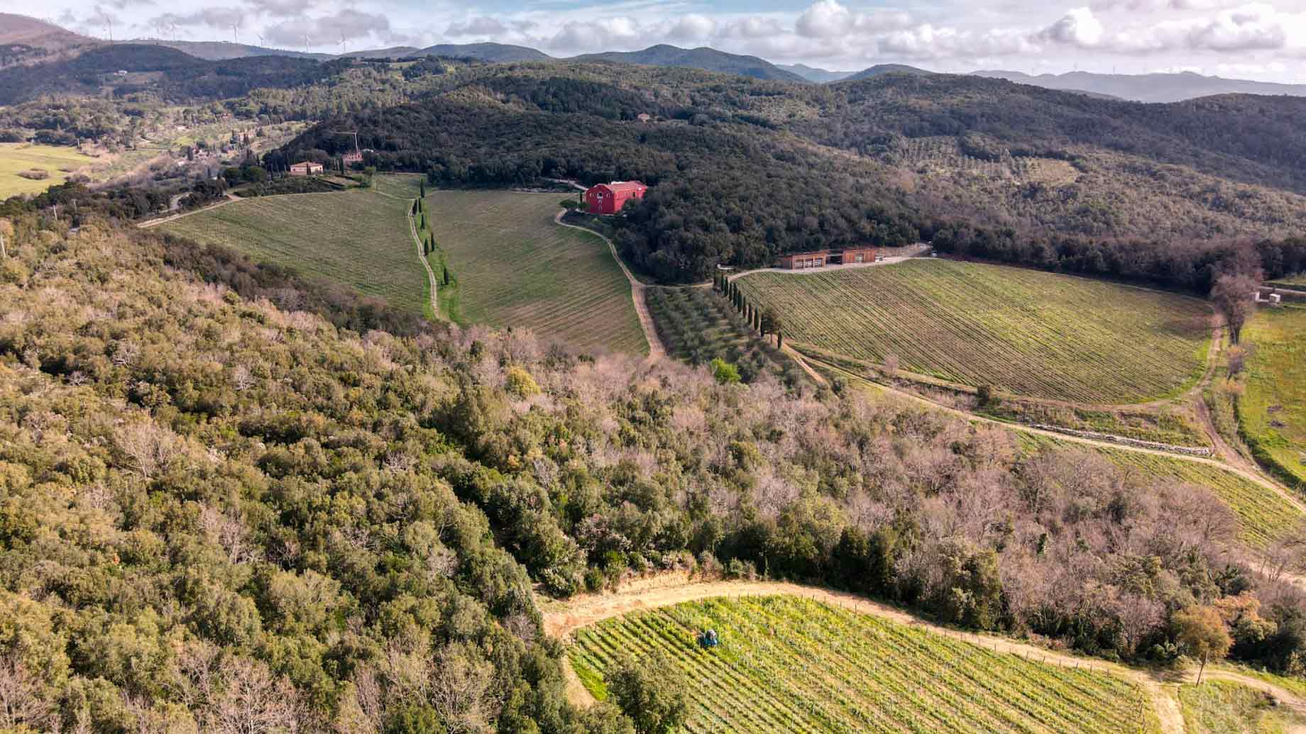 In the heart of the Macchia Mediterranea