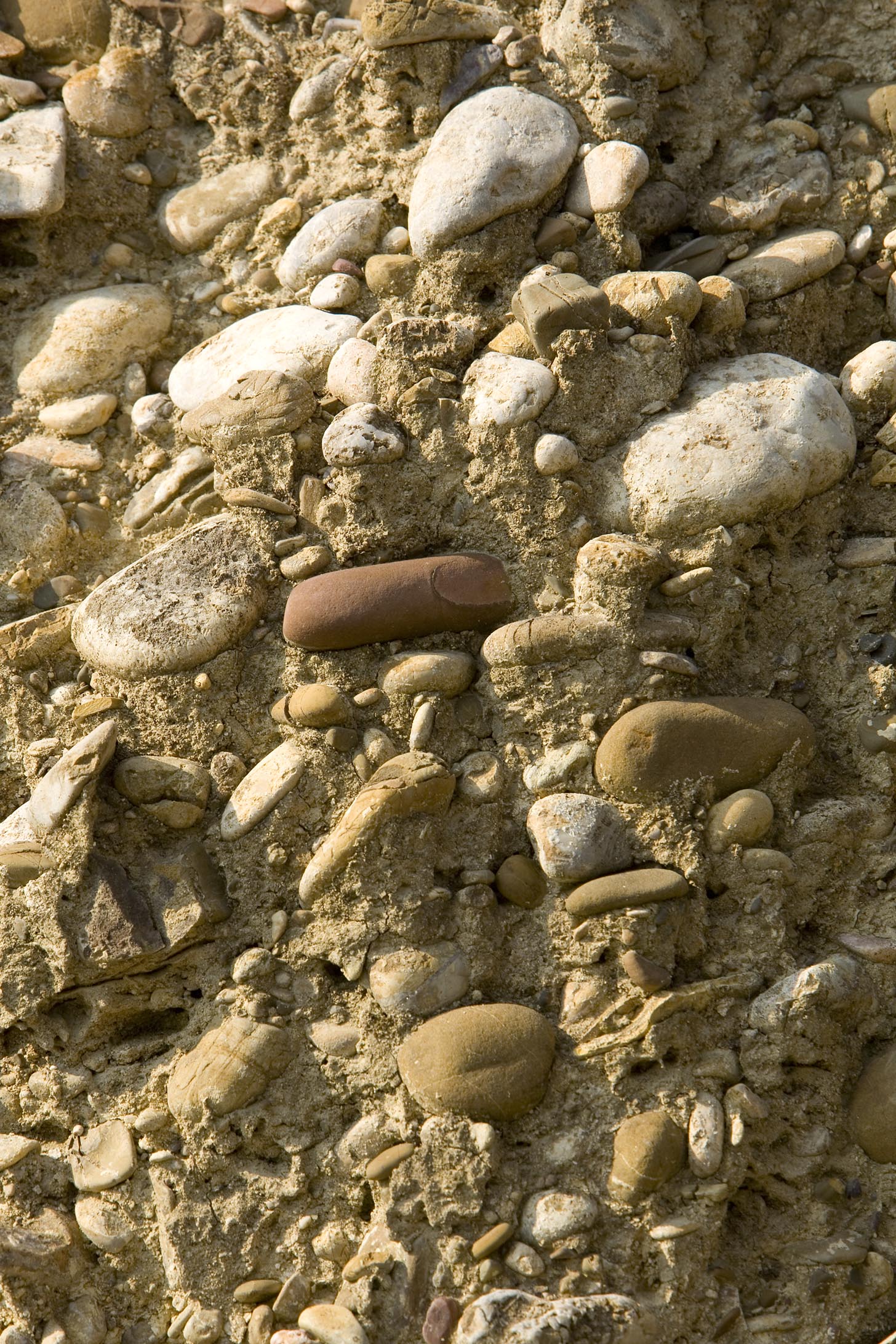 Il suolo
