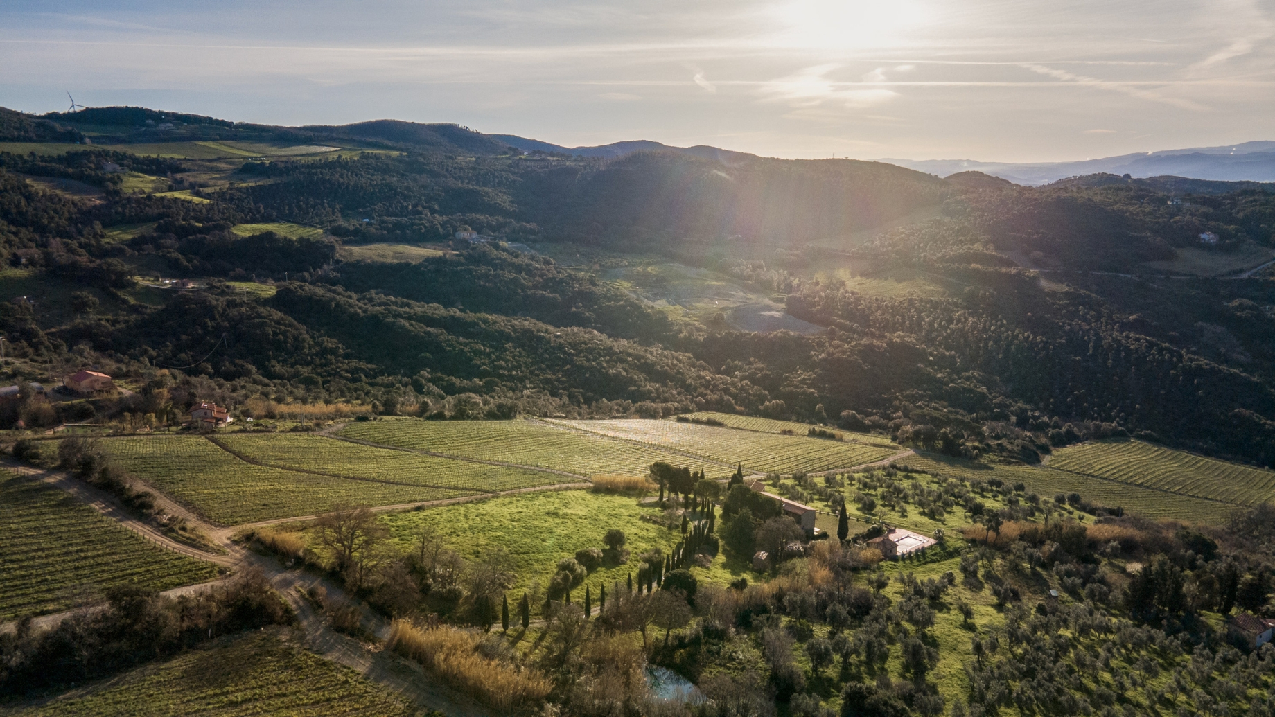 Territorio