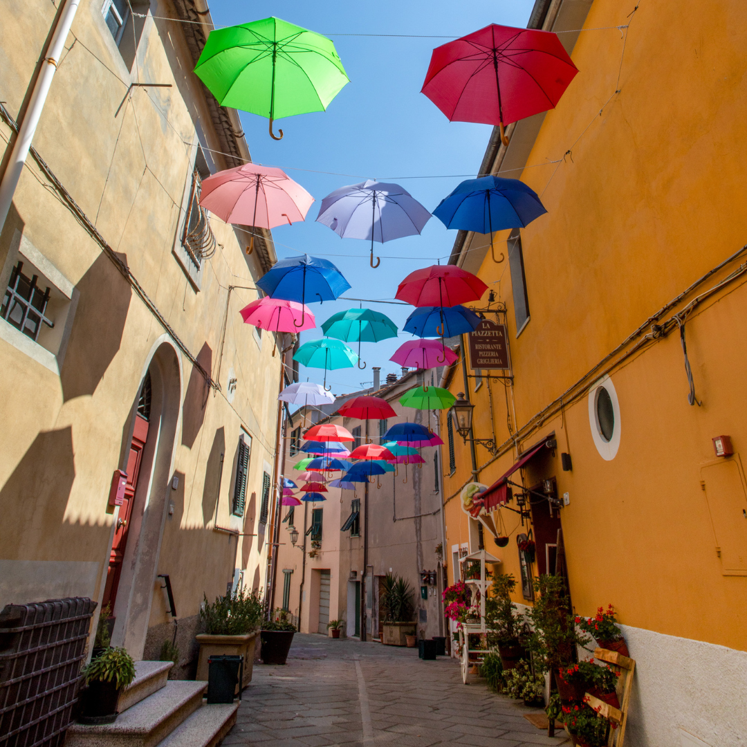 OPEN DAY: apertura straordinaria in occasione del RipaWine!